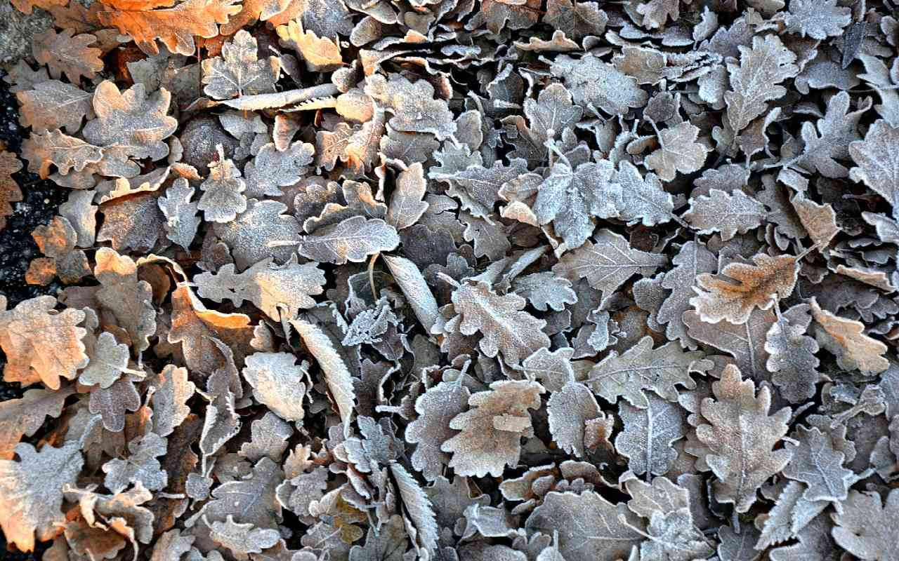 Wetter Paris Nächste Woche Wetter Paris Nächste Woche